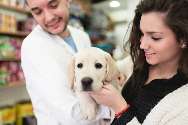 Jovem Com Seu Filhote Labrador Retriever Veterinário — Fotografia de Stock