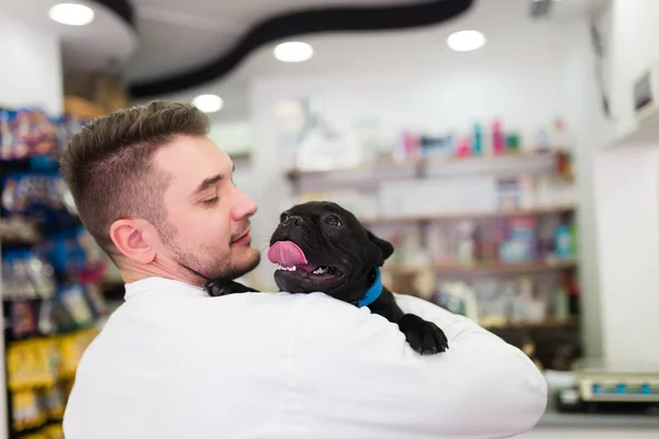 Veterinarian Holding French Bulldog — Stock Photo, Image