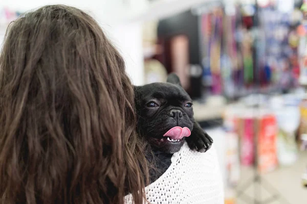 Morena Mujer Con Bulldog Francés Cachorro Tienda Mascotas —  Fotos de Stock