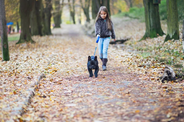 Séta Őszi Nap Parkban Gyermek Gazdája Francia Bulldog Kiskutya Lényeg — Stock Fotó