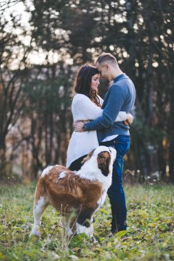 Genç çift, Saint Bernard köpekleri ile birlikte doğada eğleniyor.