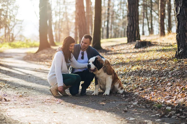 Pareja Joven Disfrutando Juntos Naturaleza Con Cachorro Saint Bernard — Foto de Stock