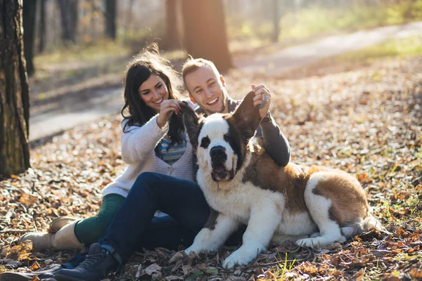 Jong Stel Samen Genieten Natuur Met Hun Saint Bernard Puppy — Stockfoto