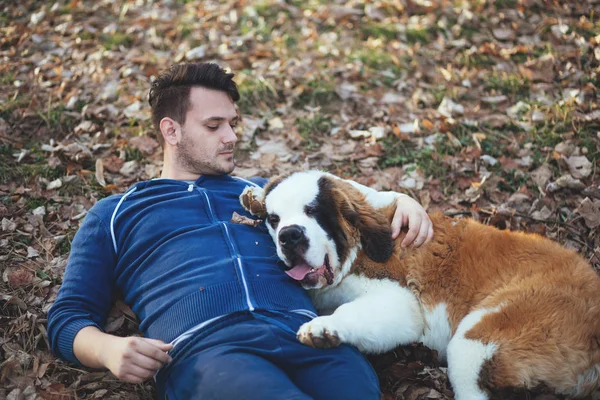 Vrijetijds Gekleed Man Genieten Buiten Met Zijn Stuurde Bernard Puppy — Stockfoto