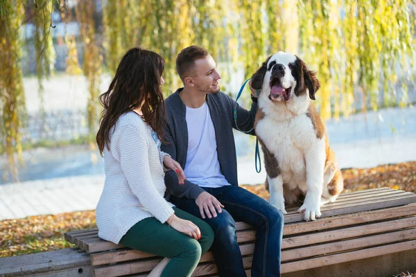 若いカップル楽しいです自然の中で一緒に彼らの聖ベルナール子犬 — ストック写真