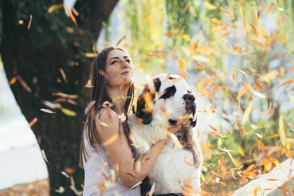 Mooie Jonge Brunette Vrouw Met Haar Schattige Saint Bernard Puppy — Stockfoto