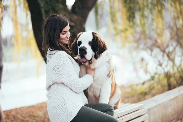 Belle Jeune Femme Brune Avec Son Adorable Chiot Saint Bernard — Photo