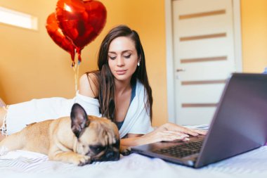 Çekici genç kadın yatakta ile onun Fransız bulldog evde beslenen hayvan oturma ve laptop bir şey yapıyor