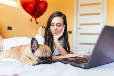 Çekici genç kadın yatakta ile onun Fransız bulldog evde beslenen hayvan oturma ve laptop bir şey yapıyor