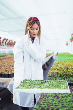 Serada çalışan ve güzel çiçekler zevk güzel genç kadın