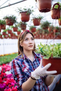 Serada çalışan ve güzel çiçekler zevk güzel genç kadın