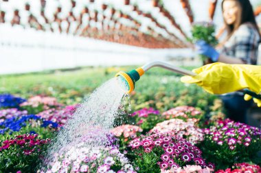 Serada çalışan ve güzel çiçekler zevk güzel genç kadın. 