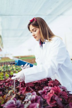 Bitki kreş çalışma ve toprak ph metre tutan güzel genç kadın