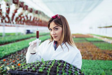 Bitki kreş çalışma ve bitki içine besin enjeksiyon veren güzel genç kadın. 