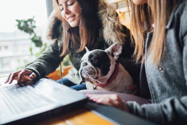 Genç kadınlar kafeteryada tapılası Fransız bulldoguyla eğleniyorlar. Bulldog 'un yüzüne odaklan. - Görüntü