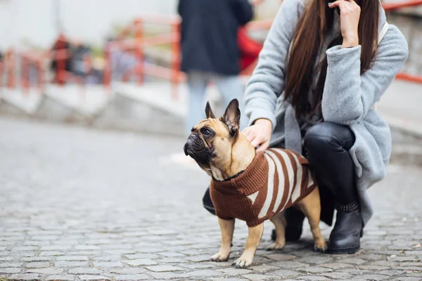Güzel esmer kadın ile onun sevimli Fransız buldozer