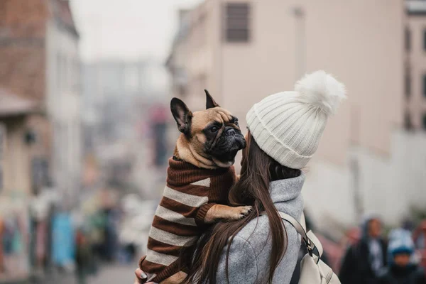 Mulher Morena Bonita Com Seu Adorável Bulldog Francês — Fotografia de Stock