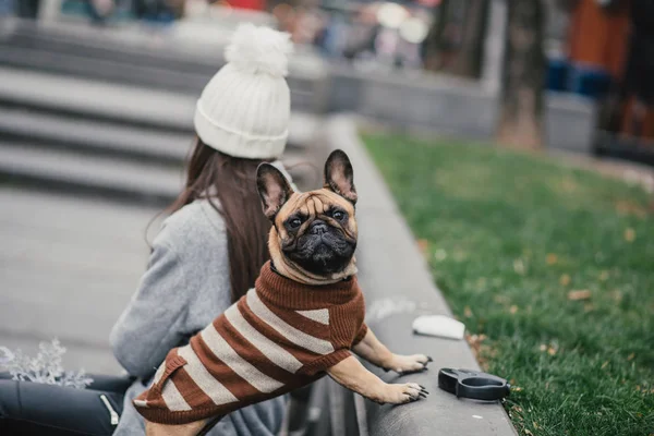 Mulher Morena Bonita Com Seu Adorável Bulldog Francês — Fotografia de Stock