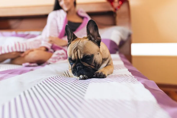 Vacker Ung Kvinna Njuter Sängen Med Hennes Franska Bulldog Husdjur — Stockfoto