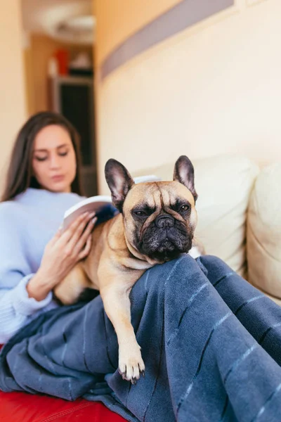 Jovem Mulher Atraente Deitada Sofá Com Seu Animal Estimação Bulldog — Fotografia de Stock