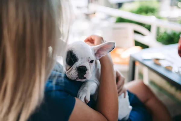 Jovem Desfrutando Uma Cafetaria Mantendo Adorável Cachorro Buldogue Francês — Fotografia de Stock