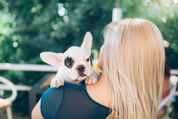 Jonge Vrouw Genieten Een Cafetaria Houden Schattige Franse Bulldog Puppy — Stockfoto