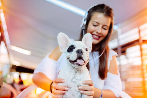 膝の上に美しい少女持株愛らしい白いフレンチ ブルドッグ子犬 — ストック写真