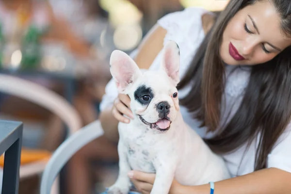 若いです女性楽しみますカフェテリアで維持可愛いですフランスのブルドッグ子犬 — ストック写真