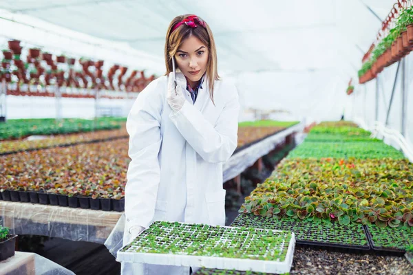 Serada çalışan ve güzel çiçekler zevk güzel genç kadın