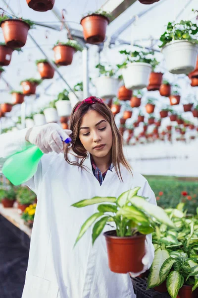 Bella Giovane Donna Che Lavora Serra Gode Bei Fiori — Foto Stock