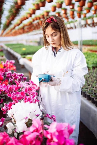 Bitki kreş çalışma ve toprak ph metre tutan güzel genç kadın