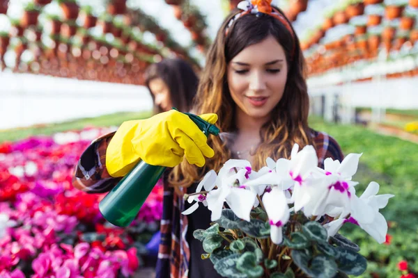 Vackra Unga Kvinnor Arbetar Växthus Och Njuter Vackra Blommor — Stockfoto