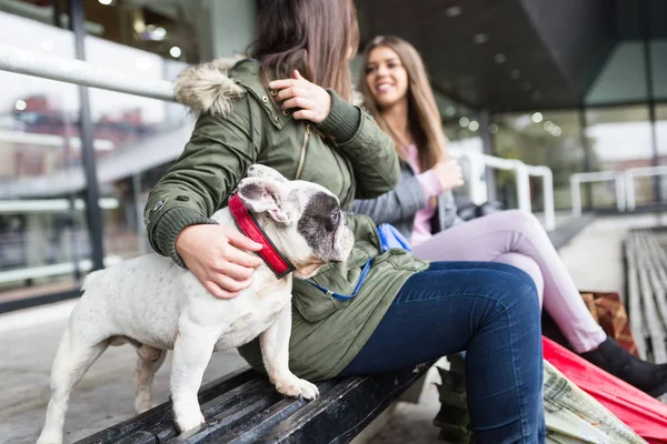 Les Jeunes Femmes Profitent Plein Air Avec Leur Adorable Bouledogue — Photo