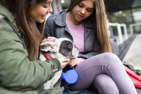 Les Jeunes Femmes Profitent Plein Air Avec Leur Adorable Bouledogue — Photo