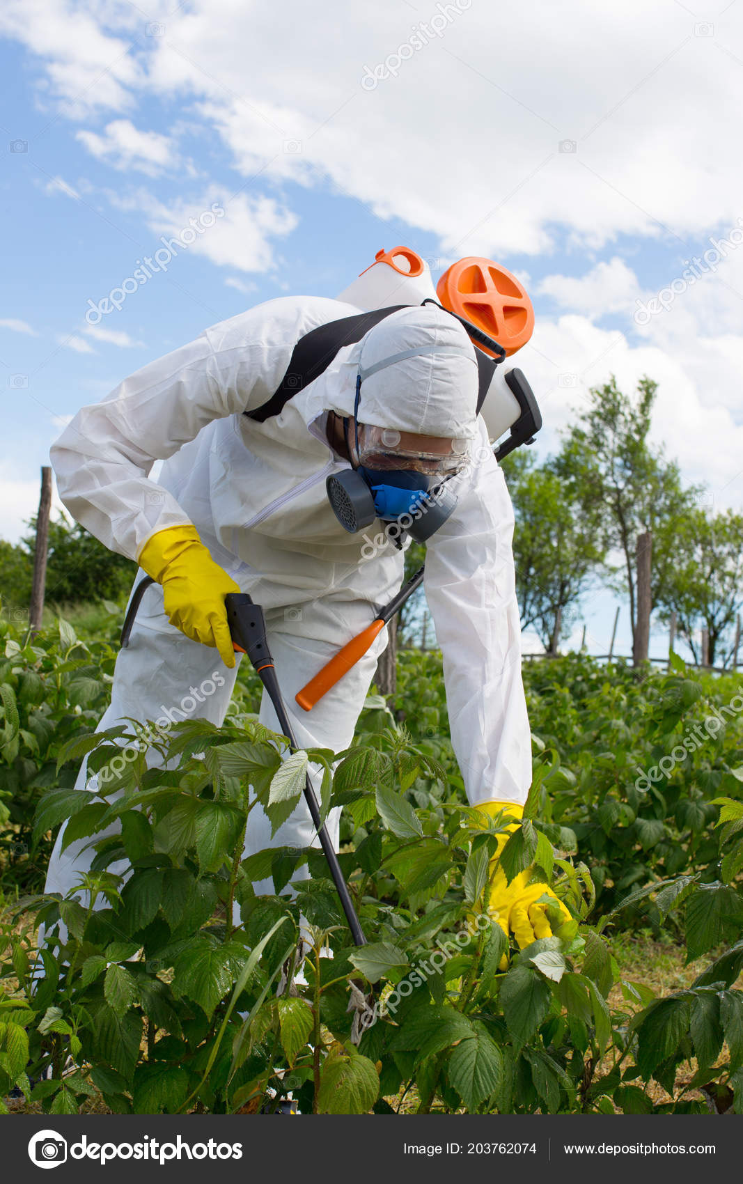 Agricultura Control Plagas Trabajador Ropa Trabajo Protectora Control Malas Hierbas Foto de stock 203762074 nenadovicphoto gmail