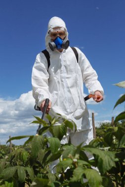 Tarım ilaçlama - işçi yabancı ot kontrolü ve ambrosia sahada Püskürtme koruyucu iş giysisi. 