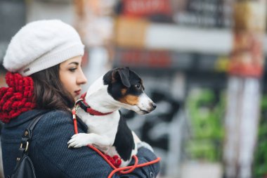 Güzel genç esmer kadının şehir sokak onun muhteşem Jack Russell terrier ile birlikte açık.