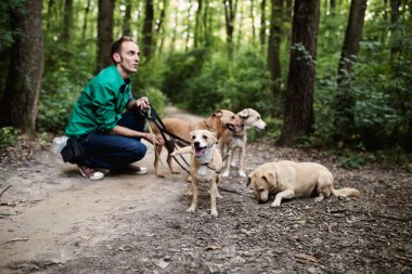 Köpek yürümek yürüyüş zevk köpeklerle.