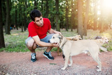 Köpek yürümek yürüyüş zevk köpeklerle.