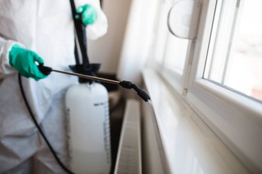 İşteki ilaçlamacı ilaçlama için sprey sıkar.