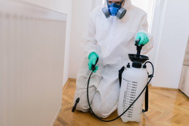 İşteki ilaçlamacı ilaçlama için sprey sıkar.