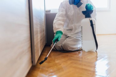 İşteki ilaçlamacı ilaçlama için sprey sıkar.