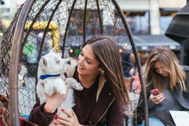 Çok güzel westie köpek yavrusu ile kafeteryasında zevk güzel ve genç birbayan. Kız üzerinde odaklanmıştır.