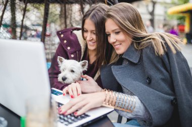 Genç kadınlar ile çok güzel Batı Dağlık beyaz korkunç köpek yavrusu kafeteryasında zevk. Esmer kadın tarih seçici odak