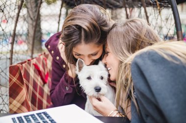 Genç kadınlar ile çok güzel Batı Dağlık beyaz korkunç köpek yavrusu kafeteryasında zevk. Esmer kadın tarih seçici odak