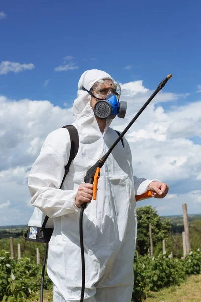 Landbouw Ongediertebestrijding Werknemer Beschermende Werkkleding Onkruidbestrijding Spuiten Van Ambrosia Veld — Stockfoto