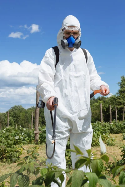 農業害虫駆除 雑草防除やフィールドにアンブロシアをスプレーで防護作業服の労働者 — ストック写真