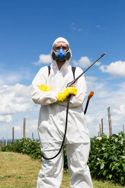 Agriculture pest control - Worker in protective workwear in weed control and spraying ambrosia on field.