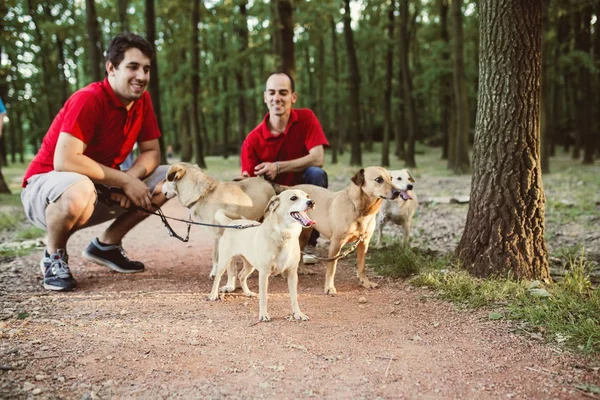 Dog walkers with dogs enjoying in park.