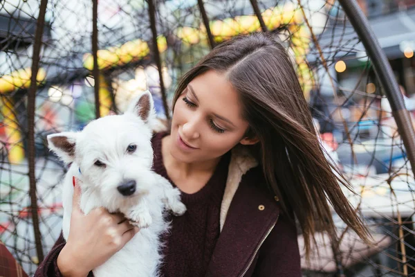 Güzel genç kadın sevimli westie köpek yavrusu ile kafeteryada zevk.